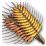 Wheat