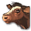 Cattle