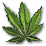 Hemp