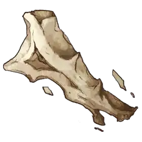 Big Beast Bone — original atelier-firis item artwork
