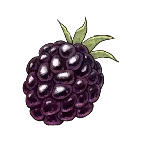 Bush Strawberry — original atelier-firis item artwork