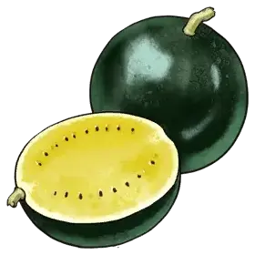 Cannon Fruit — original atelier-firis item artwork