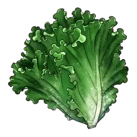 Leafy Lettuce — original atelier-firis item artwork