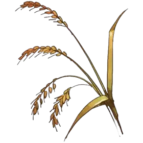 Mechen Wheat — original atelier-firis item artwork