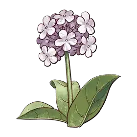 White Flower — original atelier-firis item artwork