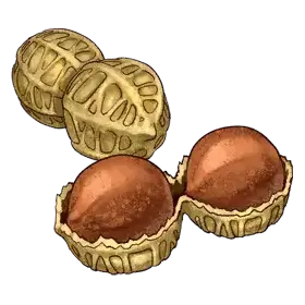 Zwei Nuts — original atelier-firis item artwork