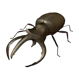 Big Horned Beetle — original atelier-sophie-2 item artwork