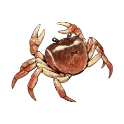 Crab — original atelier-sophie-2 item artwork