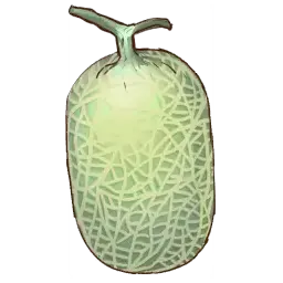 Cucumis Fruit — original atelier-sophie-2 item artwork