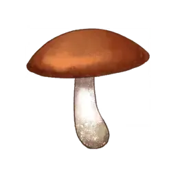 Fairy Parasol — original atelier-sophie-2 item artwork