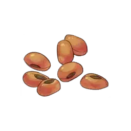 Fire Seeds — original atelier-sophie-2 item artwork