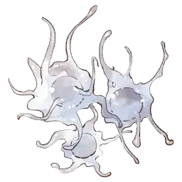 Jellyfish Larvae — original atelier-sophie-2 item artwork