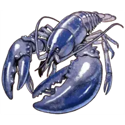 Lobster — original atelier-sophie-2 item artwork