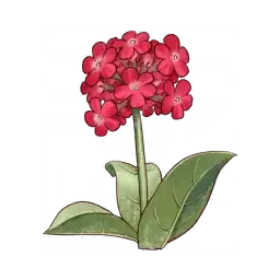 Red Flower — original atelier-sophie-2 item artwork