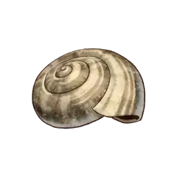 Sea Snail — original atelier-sophie-2 item artwork