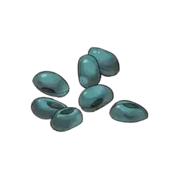 Water Seeds — original atelier-sophie-2 item artwork