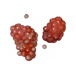 Whimsy Strawberries — original atelier-sophie-2 item artwork