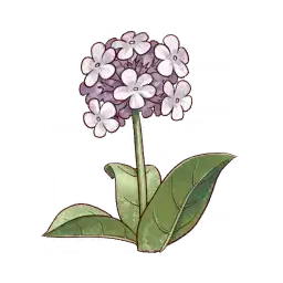 White Flower — original atelier-sophie-2 item artwork