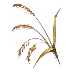 Wiege Wheat — original atelier-sophie-2 item artwork