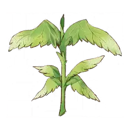 Wing Plant — original atelier-sophie-2 item artwork