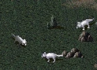Triceratops — original same-game Classic actor artwork