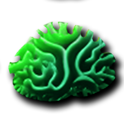 Brain Coral