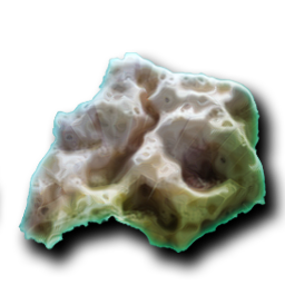 Coralite