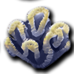 Fan Coral