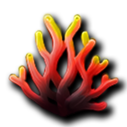 Fire Coral