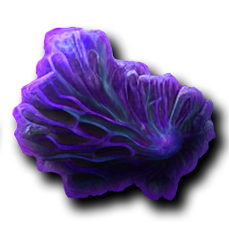 Mycelium