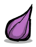 Bristle Blossom seed