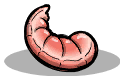 Raw Shellfish