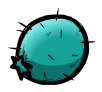 Hydrocactus seed