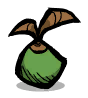 Thimble Reed seed