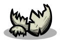 Egg Shell
