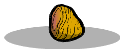 Tonic Root