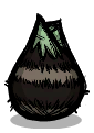 Swamp Chard seed