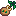 Apricot Sapling — original game artwork