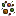 Mixed Seeds — original game artwork