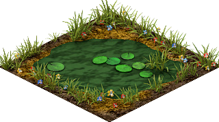 Ponds — official manual building illustration